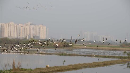 Gurugram, India-December 01: Dirty water of the Najafgarh drain logged in the Daulatabad village field at Dwarka expressway near sector-107,in Gurugram, India, on Thursday, 01 December 2022.(Photo by Parveen Kumar/Hindustan Times)(Pic to go with Abhishek Bhel's Story)