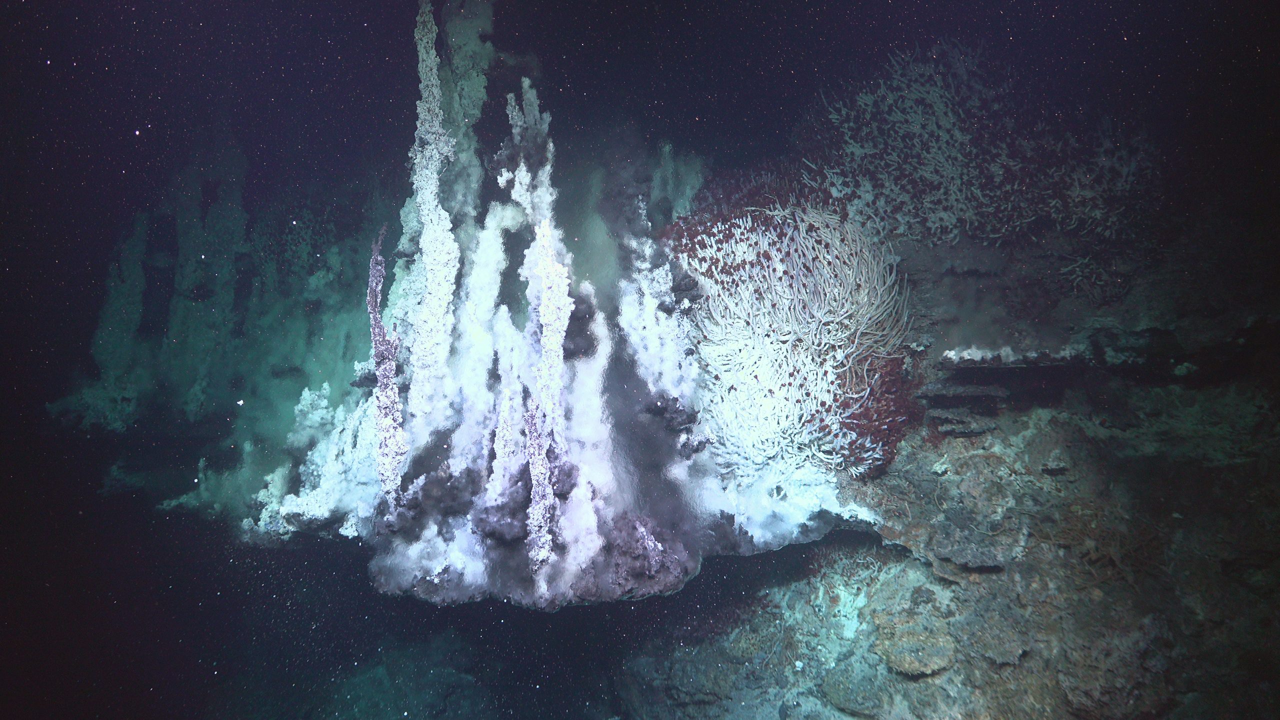 Hydrothermal vents, chimneys and mirror pools, home to a large population of tubeworms. (Schmidt Ocean Institute) Hydrothermal vents, chimneys and mirror pools, home to a large population of tubeworms. (Schmidt Ocean Institute)
