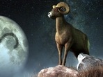 Aquarius Weekly Horoscope for 29- February 4, 2023 : This week, the odds are in the Aries natives' favour. Aquarius Weekly Horoscope for 29- February 4, 2023 : This week, the odds are in the Aries natives' favour.