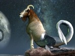 Capricorn Weekly Horoscope for January 29- February 4 , 2023:Capricorns may feel particularly adventurous this week and open to new experiences. Capricorn Weekly Horoscope for January 29- February 4 , 2023:Capricorns may feel particularly adventurous this week and open to new experiences.