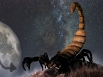 Scorpio Weekly Horoscope for January 29- February 4, 2023: This week, Scorpios may have a good work-life balance and a happy home life. Scorpio Weekly Horoscope for January 29- February 4, 2023: This week, Scorpios may have a good work-life balance and a happy home life.