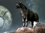 Taurus Weekly Horoscope for January 29- February 4, 2023 : Taureans, this week more than ever, need to adopt a positive outlook on life. (shutterstock) Taurus Weekly Horoscope for January 29- February 4, 2023 : Taureans, this week more than ever, need to adopt a positive outlook on life. (shutterstock)