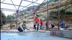 There has been no new damage to property at Uttarakhand’s Joshimath town since January 20 (PTI) There has been no new damage to property at Uttarakhand’s Joshimath town since January 20 (PTI)
