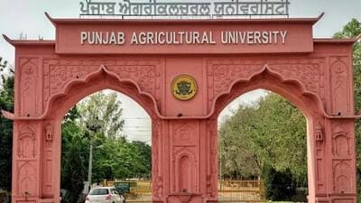 Punjab Agricultural University (PAU), Ludhiana, had realised early that cross-border mobility not only contributes to national innovation capacity but also to international collaboration on global issues as the returned expatriates may contribute to the stock of highly-skilled human capital and serve as nodes of international knowledge networks. (HT file photo) Punjab Agricultural University (PAU), Ludhiana, had realised early that cross-border mobility not only contributes to national innovation capacity but also to international collaboration on global issues as the returned expatriates may contribute to the stock of highly-skilled human capital and serve as nodes of international knowledge networks. (HT file photo)