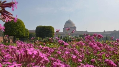 Amrit Udyan is new name for Mughal Gardens in Rashtrapati Bhavan. (HT File Photo) Amrit Udyan is new name for Mughal Gardens in Rashtrapati Bhavan. (HT File Photo)
