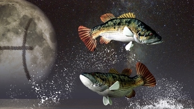 Pisces Weekly Horoscope for January 29- February 4, 2023 : Perseverance on the part of Pisceans will pay off in a huge, almost unfathomable way down the line.