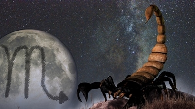 Scorpio Weekly Horoscope for January 29- February 4, 2023:  This week, Scorpios may have a good work-life balance and a happy home life.