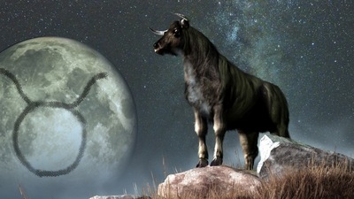 Taurus Weekly Horoscope for January 29- February 4, 2023 : Taureans, this week more than ever, need to adopt a positive outlook on life. (shutterstock)