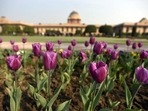Amrit Udyan at Rashtrapati Bhavan. (File image)(Sonu Mehta/HT PHOTO) Amrit Udyan at Rashtrapati Bhavan. (File image)(Sonu Mehta/HT PHOTO)