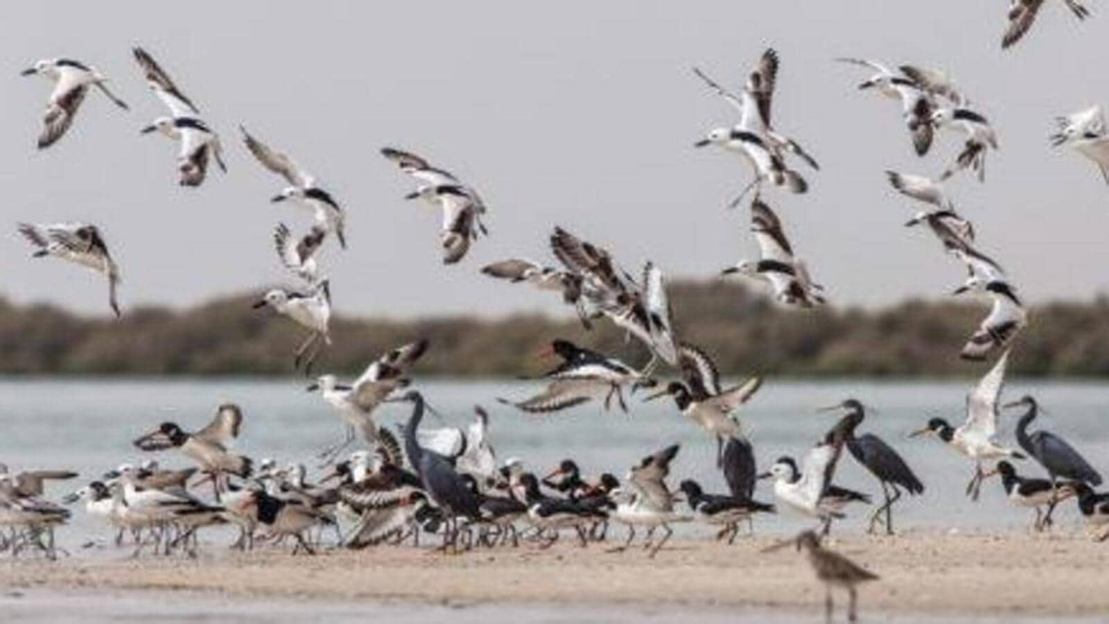 MoU inked for ‘protection and conservation’ Manipur’s Loktak Lake