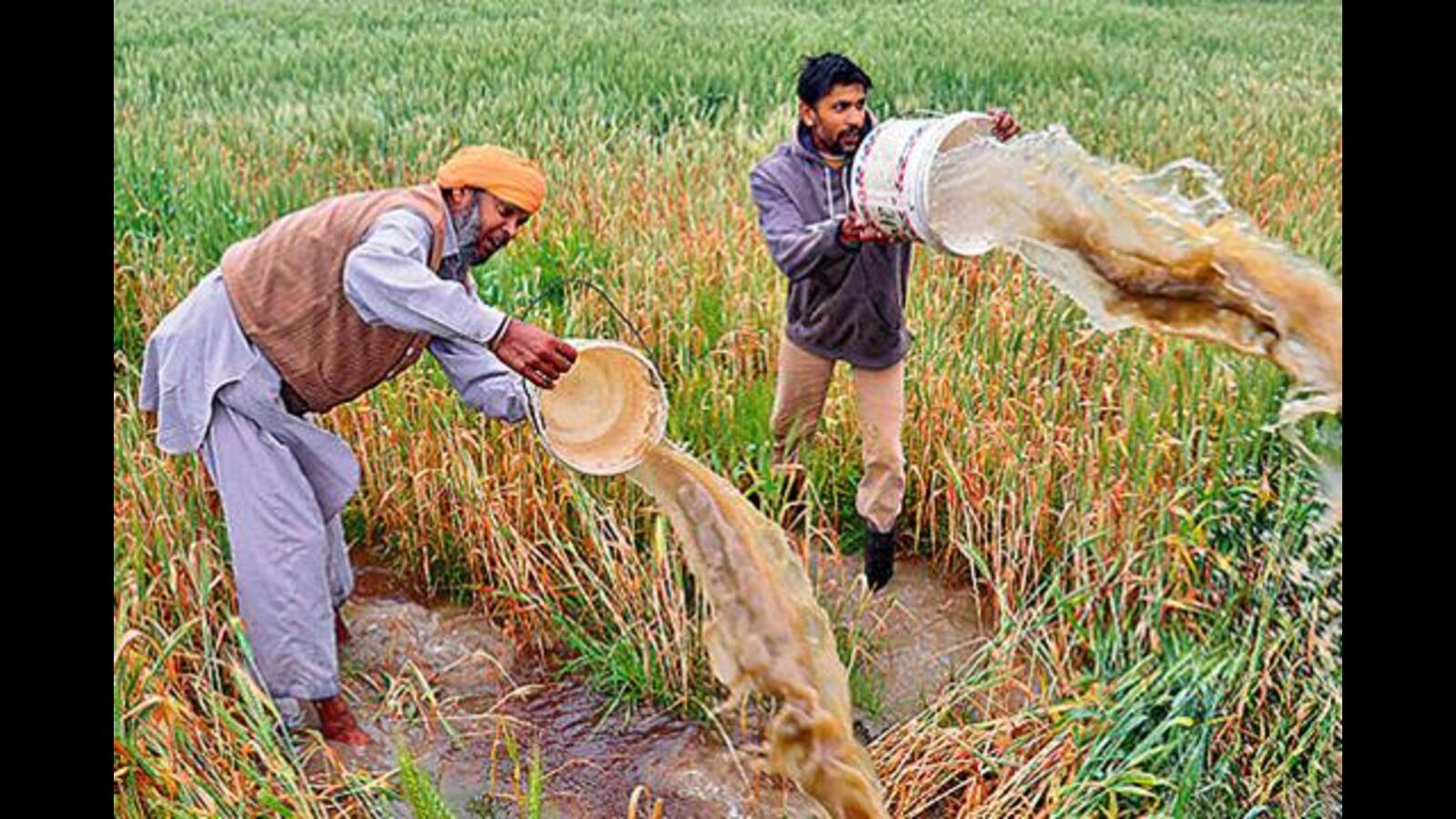 Water Regulators’ Announcement: Punjab Industry Calls Groundwater ...