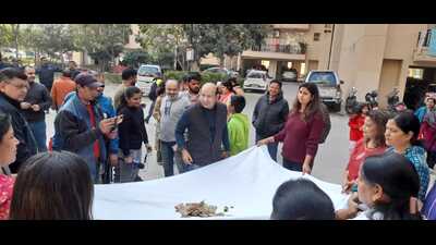 Several women residents raised slogans and demanded resignation from the RWA secretary. (HT Photo) Several women residents raised slogans and demanded resignation from the RWA secretary. (HT Photo)