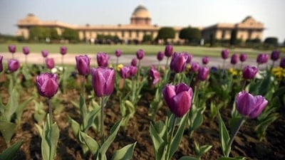 Amrit Udyan at Rashtrapati Bhavan. (File image) (Sonu Mehta/HT PHOTO) Amrit Udyan at Rashtrapati Bhavan. (File image) (Sonu Mehta/HT PHOTO)