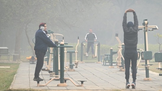 People exercising in open-gym at a public park in Delhi amid a foggy weather.(Vipin Kumar/HT Photo)