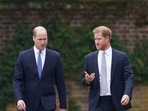 Prince William Latest News: Britain's Prince William and Prince Harry are seen. (AP) Prince William Latest News: Britain's Prince William and Prince Harry are seen. (AP)