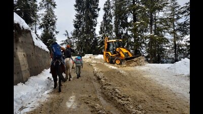 Compared to 102.4cm snowfall last January, which was the highest-ever recorded in the capital town, Shimla recorded only 6cm snow this month. In January 2021, the capital town recorded no snowfall. Scanty snowfall this season has brought down the tourist footfall. (Deepak Sansta/HT) Compared to 102.4cm snowfall last January, which was the highest-ever recorded in the capital town, Shimla recorded only 6cm snow this month. In January 2021, the capital town recorded no snowfall. Scanty snowfall this season has brought down the tourist footfall. (Deepak Sansta/HT)