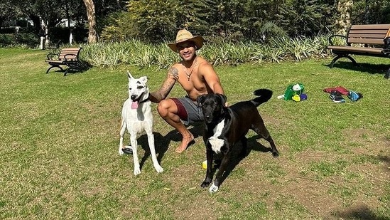 The image, taken from the Instagram post, shows Shikhar Dhawan with his pet dogs.(Instagram/@shikhardofficial)