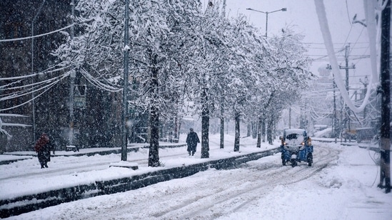 The snowfall is likely to affect the final leg of Rahul Gandhi-led 'Bharat Jodo Yatra' in the city on Monday.(PTI)