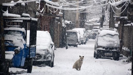 Srinagar receives fresh snowfall on Sunday night as a new wave of western disturbances hit Jammu and Kashmir and surrounding areas. Srinagar airport director Kuldeep Singh Rishi informed all flights have been delayed due to the continuous snowfall. (PTI)