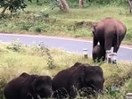Mama elephant teaches her baby to cross a road.(Twitter/@supriyasahuias) Mama elephant teaches her baby to cross a road.(Twitter/@supriyasahuias)