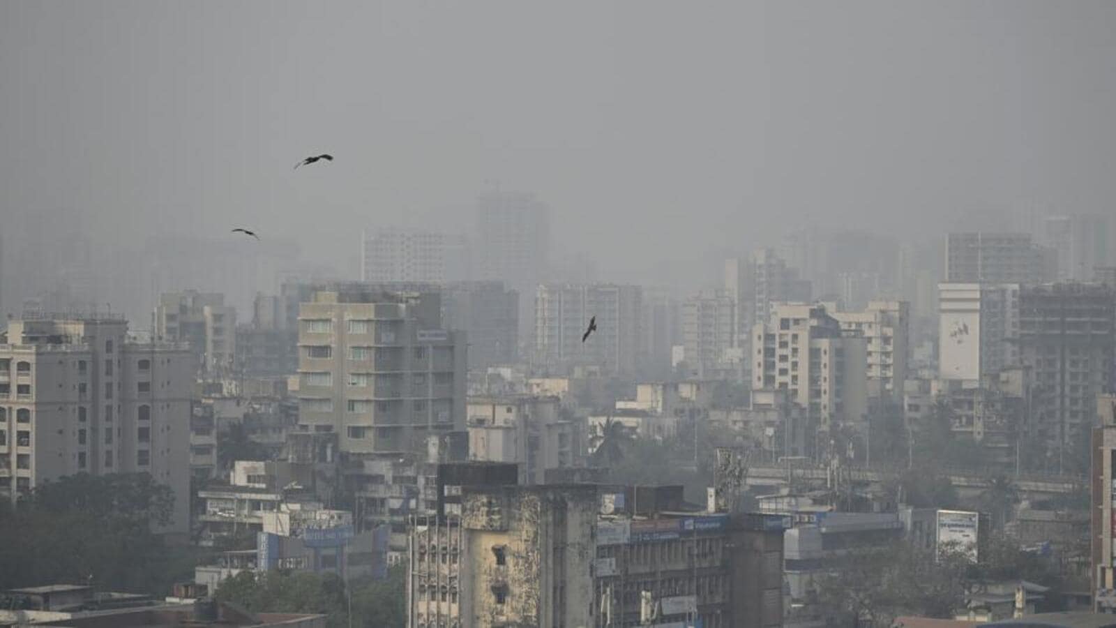 नागरिकों को चाहिए बेहतर हवा, मास्क आदर्श नहीं हो सकते |  मुंबई खबर
