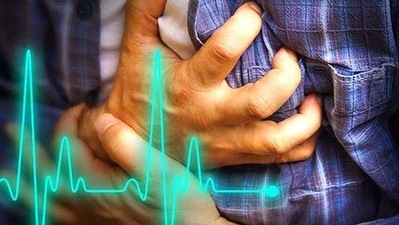 The biomaterial was tested and proven effective in treating tissue damage caused by heart attacks in both rodent and large animal models, according to the study. (Shutterstock) The biomaterial was tested and proven effective in treating tissue damage caused by heart attacks in both rodent and large animal models, according to the study. (Shutterstock)