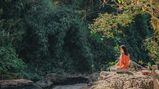Sri Lanka is a true haven for tranquilly and wellbeing. Along the Sri Lankan coast, there are a lot of yoga retreats that provide breathtaking vistas, daily yoga classes, and even surfing for some excitement. Colombo, Unawatuna, and Kandy are well-known locations for yoga in Sri Lanka.(pexels/Min An)