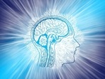 Moyamoya disease: Causes, symptoms, diagnosis and treatments (Image by Gerd Altmann from Pixabay ) Moyamoya disease: Causes, symptoms, diagnosis and treatments (Image by Gerd Altmann from Pixabay )