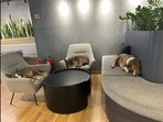 The picture shared by Ola CEO Bhavish Aggarwal prompted people to post various comments. (Twitter/@bhash) The picture shared by Ola CEO Bhavish Aggarwal prompted people to post various comments. (Twitter/@bhash)