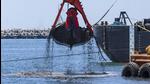 The kind of dredging JNPA wants to carry out near Daman isn’t a small modification in their plans, it has much wider implications for fishing, not just near the project site but also 60kms away,” said Debi Goenka, executive trustee, Conservation Action Trust (CAT) and former invitee of the DTEPA. (StockPic/Representational Purposes) The kind of dredging JNPA wants to carry out near Daman isn’t a small modification in their plans, it has much wider implications for fishing, not just near the project site but also 60kms away,” said Debi Goenka, executive trustee, Conservation Action Trust (CAT) and former invitee of the DTEPA. (StockPic/Representational Purposes)
