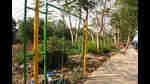 The mangrove fencing left incomplete by NMMC at Sector- 20, Airoli in Navi Mumbai, India. (Photo by Bachchan Kumar/ HT PHOTO) (HT PHOTO) The mangrove fencing left incomplete by NMMC at Sector- 20, Airoli in Navi Mumbai, India. (Photo by Bachchan Kumar/ HT PHOTO) (HT PHOTO)