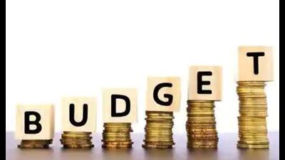 RLD national spokesman Anil Dubey said the budget also did not explain why the income of farmers did not double despite tall promises nine years ago. (Pic for representation)