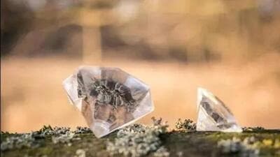 Union finance minister Nirmala Sitharaman said lab-grown diamonds are environment friendly diamonds which have optically and chemically the same properties as natural diamonds. (Representative Image) Union finance minister Nirmala Sitharaman said lab-grown diamonds are environment friendly diamonds which have optically and chemically the same properties as natural diamonds. (Representative Image)