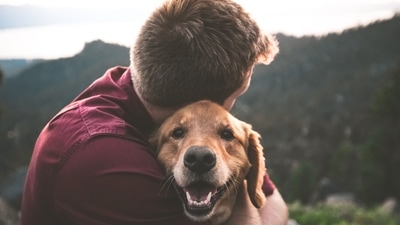 The bond between a pet and their owner is a special one, and there are many fun and interactive activities that can help to strengthen it. (Unsplash/Eric Ward) The bond between a pet and their owner is a special one, and there are many fun and interactive activities that can help to strengthen it. (Unsplash/Eric Ward)
