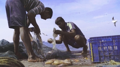 A still from Against the Tide.