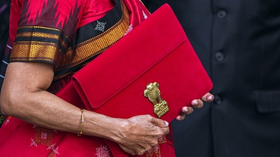 Union Finance Minister Nirmala carrying a folder-case poses for photographs outside the Finance Ministry at North Block, in New Delhi, Wednesday.(PTI)