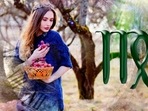 Virgo Daily Horoscope Today for February 3, 2023: The time is right to fix the family drama. Virgo Daily Horoscope Today for February 3, 2023: The time is right to fix the family drama.