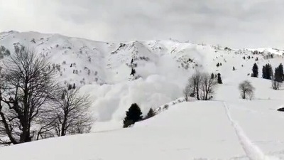"Three teams of 21 foreign nationals and two local guides went to Affarwat for skiing this morning. A snow avalanche struck Hapatkhud Kangdori around 12.30 pm," Baramulla Senior Superintendent of Police Amod Nagpure was quoted by saying news agency PTI. (ANI) "Three teams of 21 foreign nationals and two local guides went to Affarwat for skiing this morning. A snow avalanche struck Hapatkhud Kangdori around 12.30 pm," Baramulla Senior Superintendent of Police Amod Nagpure was quoted by saying news agency PTI. (ANI)
