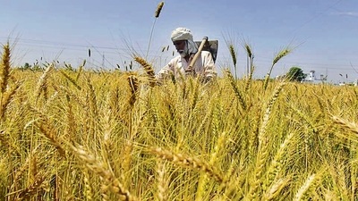 The government has allocated a mere  ₹1 lakh for MIS-PSS for 2023-24, down from  ₹1,500 crore in 2022-23 (both Budget and revised estimates being equal).