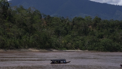 The Escazu Agreement, which came into force in 2021, provides a sweeping framework for countries in the region to strengthen environmental policy (Representative image/ AP)