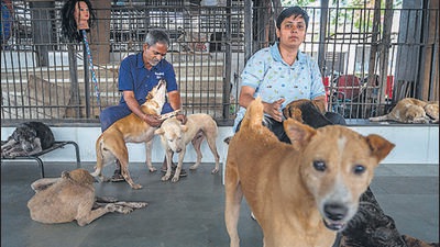 Mumbai, India - February 02, 2023: The enclosed ward at NGO "In Defense of Animals India", is home to several dogs and cats with special needs, including some who are blind and paralysed at its Deonar centre, in Mumbai, India, on Thursday, February 02, 2023. (Photo by Satish Bate/Hindustan Times) (Satish Bate/HT PHOTO)