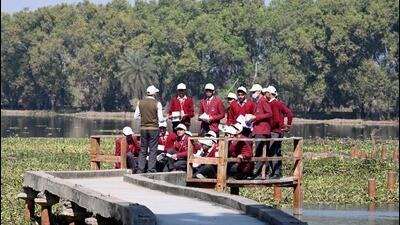 School students at Surajpur wetland on Thursday. (Sunil Ghosh/HT Photo) School students at Surajpur wetland on Thursday. (Sunil Ghosh/HT Photo)