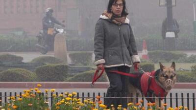 The Municipal Corporation of Gurugram (MCG) has amended the dog registration process to extend validity period of licences issued to owners from the current one year to three years. The new norms will come into effect from April 1, civic officials said. (PTI) The Municipal Corporation of Gurugram (MCG) has amended the dog registration process to extend validity period of licences issued to owners from the current one year to three years. The new norms will come into effect from April 1, civic officials said. (PTI)