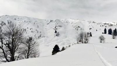 Two Polish skiers were killed and 19 other foreign tourists had to be rescued after a massive avalanche hit the upper reaches of Jammu and Kashmir's ski resort Gulmarg on Wednesday. In view of the recent snowfall in the Valley, authorities in Jammu and Kashmir issued a medium danger avalanche warning in four districts - Baramulla, Ganderbal, Kupwara, and Bandipora. Skiing resumed in the popular skiing destination a day after the incident, on Thursday with fresh standard operating procedures. (ANI) Two Polish skiers were killed and 19 other foreign tourists had to be rescued after a massive avalanche hit the upper reaches of Jammu and Kashmir's ski resort Gulmarg on Wednesday. In view of the recent snowfall in the Valley, authorities in Jammu and Kashmir issued a medium danger avalanche warning in four districts - Baramulla, Ganderbal, Kupwara, and Bandipora. Skiing resumed in the popular skiing destination a day after the incident, on Thursday with fresh standard operating procedures. (ANI)