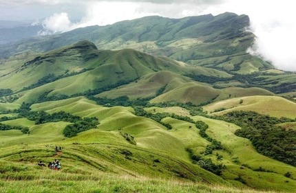Visit coffee plantations and relax in the tranquil environment of Chikmagalur. (pinterest) Visit coffee plantations and relax in the tranquil environment of Chikmagalur. (pinterest)