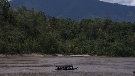 The Escazu Agreement, which came into force in 2021, provides a sweeping framework for countries in the region to strengthen environmental policy(Representative image/ AP)