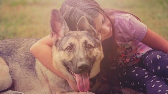 From empathy and compassion to emotional intelligence, having a pet at home can also help mould your child into a kind human being.(Pixabay) From empathy and compassion to emotional intelligence, having a pet at home can also help mould your child into a kind human being.(Pixabay)