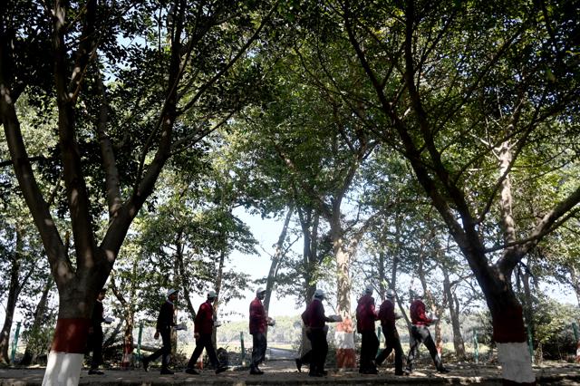 A group of school students at the bird watching festival. The purpose of the event was to introduce students to various types of birds found in the city. (Sunil Ghosh/HT Photo) A group of school students at the bird watching festival. The purpose of the event was to introduce students to various types of birds found in the city. (Sunil Ghosh/HT Photo)