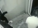 Around midnight, when they were going back to their rooms, it is suspected that Bhattacharya lost his balance and fell.(Twitter) Around midnight, when they were going back to their rooms, it is suspected that Bhattacharya lost his balance and fell.(Twitter)