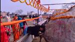 Locals visiting Ram Sevak Puram in Ayodhya on Friday to worship two Dev Shilas (rocks) that have been brought from Nepal. (Ravinder Singh/HH) Locals visiting Ram Sevak Puram in Ayodhya on Friday to worship two Dev Shilas (rocks) that have been brought from Nepal. (Ravinder Singh/HH)